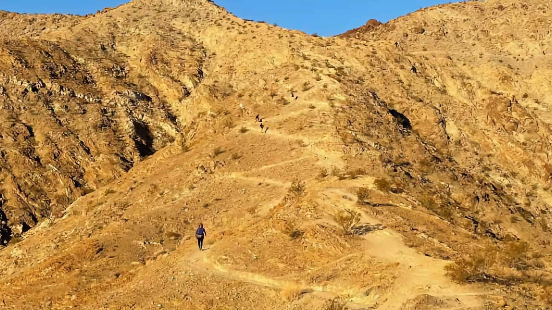 bump-grind-trail-switchbacks