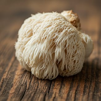 lions mane palm desert cbd