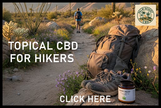 TOPICAL CBD Best Hiking Trails in the Coachella Valley